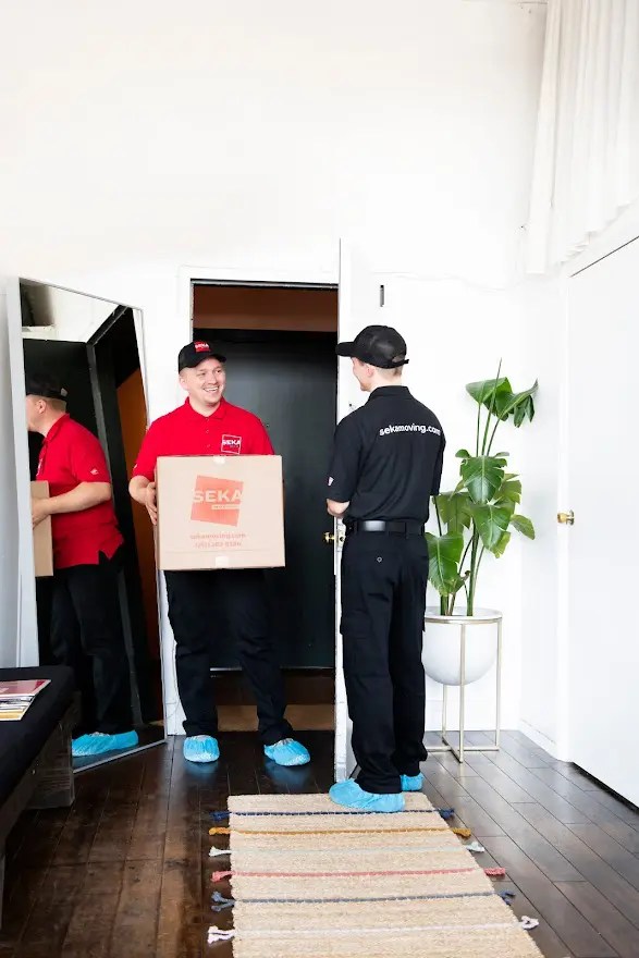 8 Things You Need to Know About Moving from NYC to Florida SEKA Moving