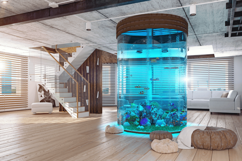 How to Move a Fish Tank Steps Involved in Moving Fish Safely SEKA Moving