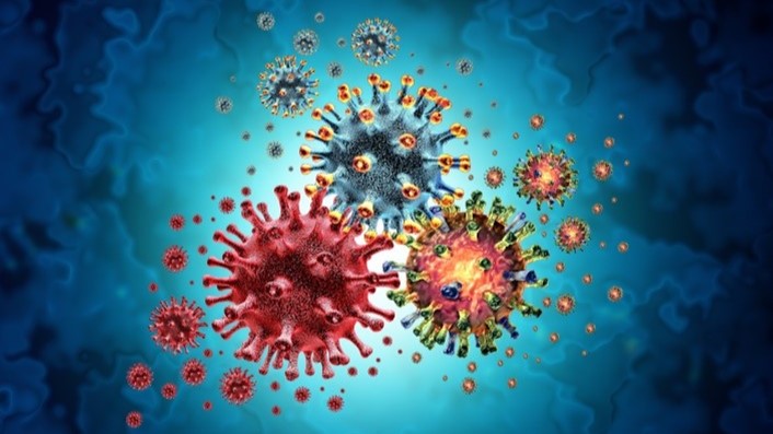 OSOM® COVID-19 Antigen Home Test - Sekisui Diagnostics