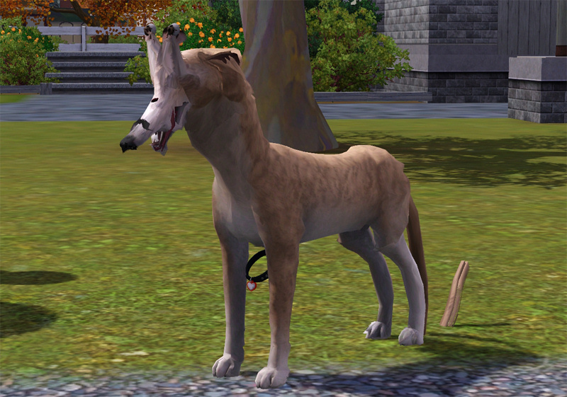 Sims 3 Pets Glitch