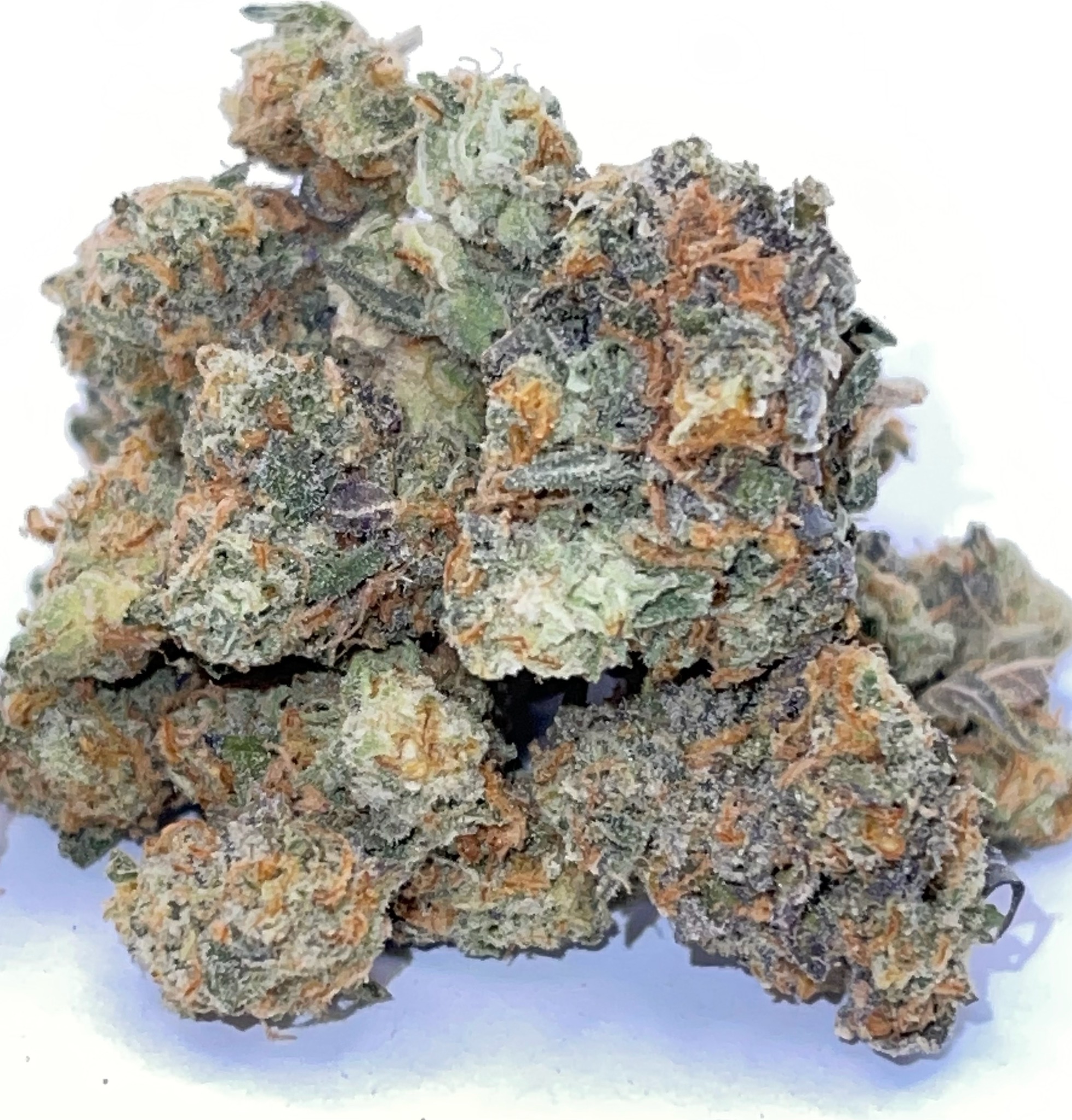 Order Biscotti Sherbert Online for Fast SameDay Delivery in DC