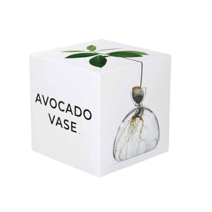 The Avocado Vase and Handbook Selectedd.hr
