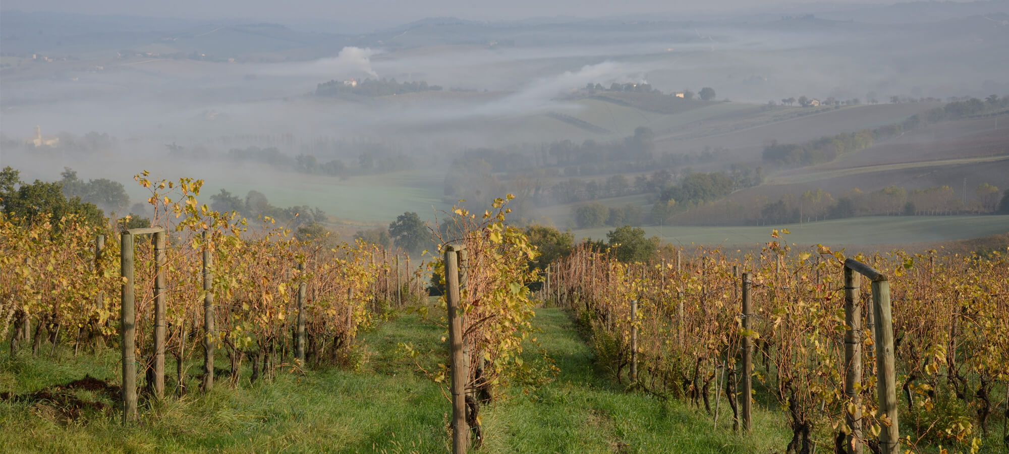 Marche Selected Estates