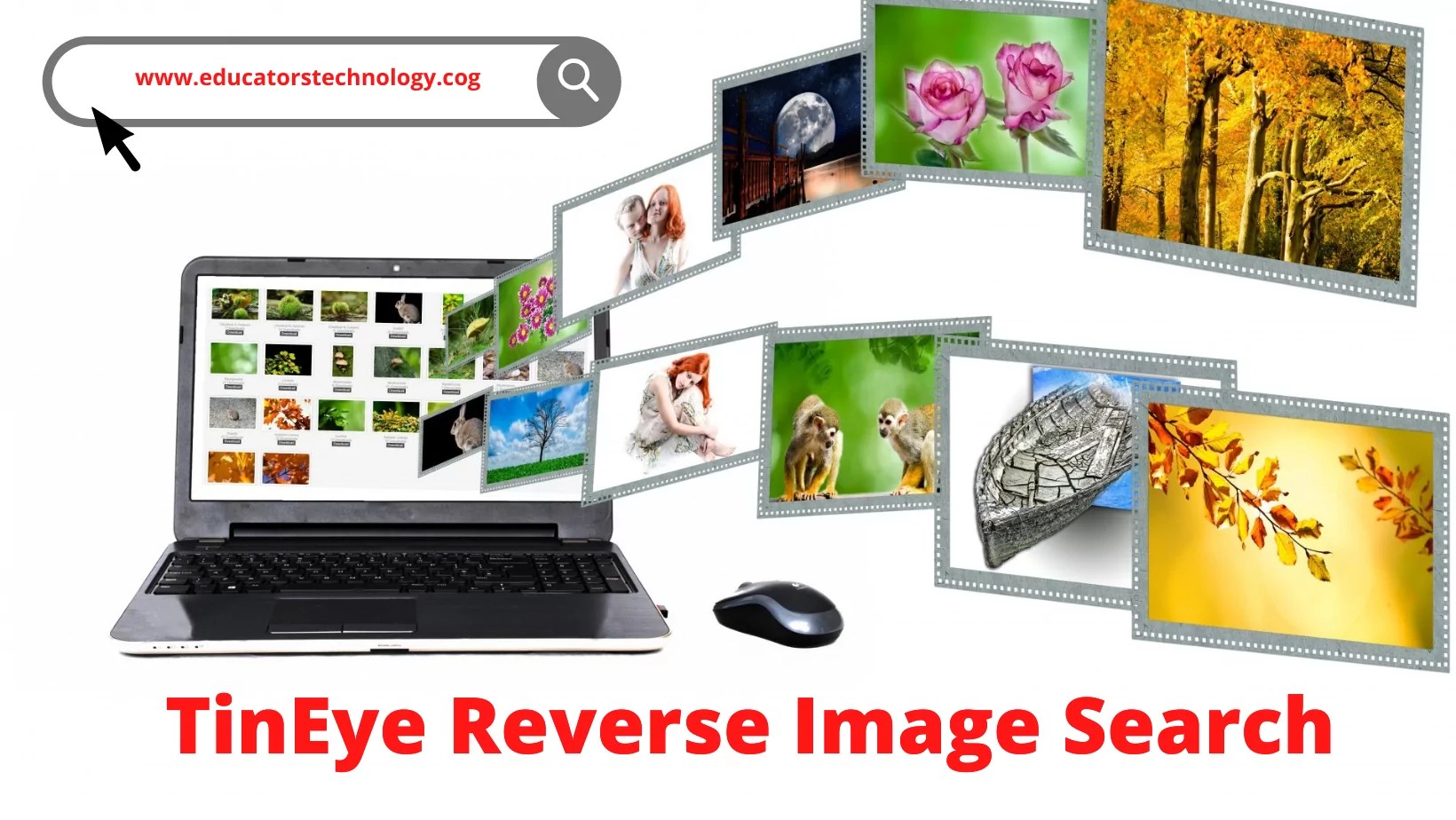 TinEye Reverse Image Search Full Review Educators Technology