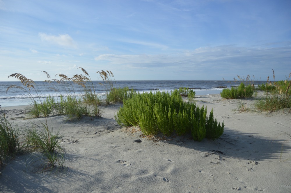 Explore the Golden Isles 4 MustVisit Spots in Select Registry