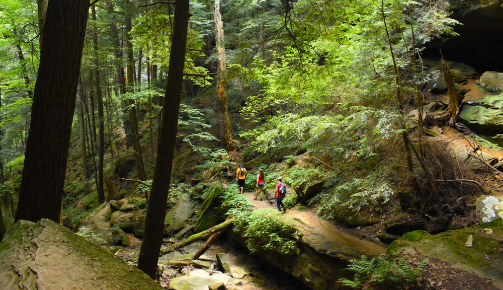 7 Amazing Hiking Trails in Hocking Hills, OH Select Registry