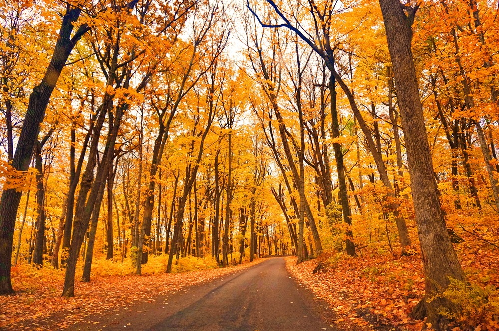 See Door County Fall Colors at These 10 Stunning Places