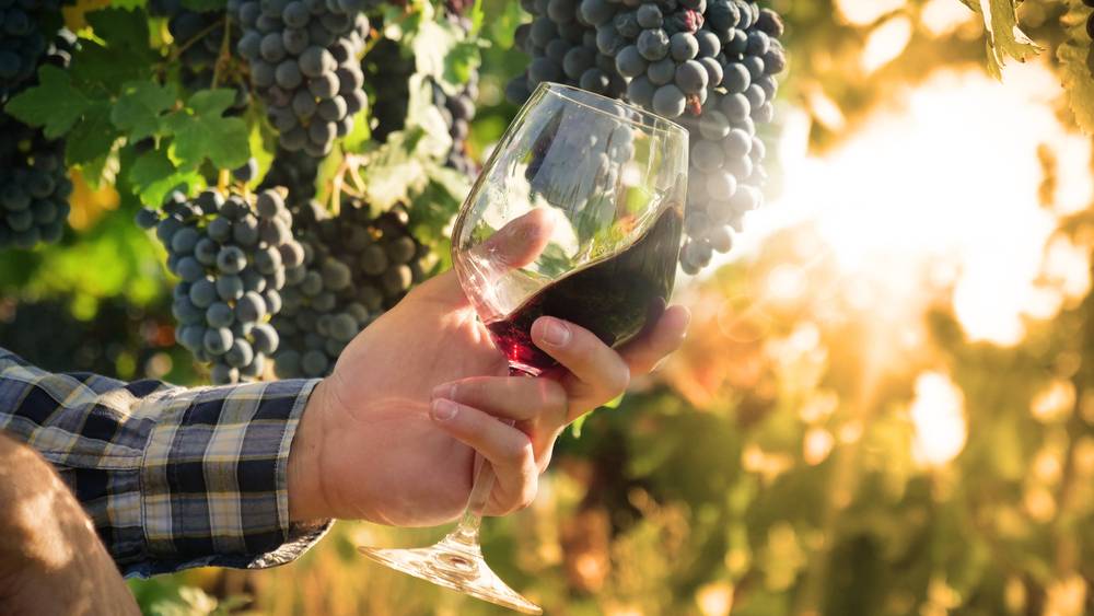 5 of the Best Wine Regions in the U.S. Select Registry