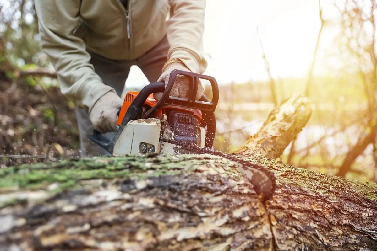 Chainsaw Standards & Measurements