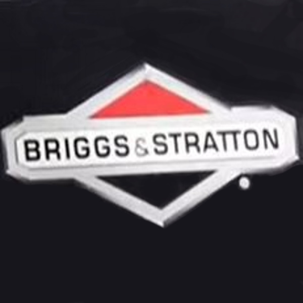 Briggs & Stratton 5750 Watt Portable Generator Error Codes & Fixes