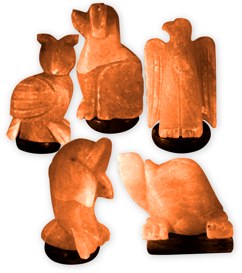 The Truth About Himalayan Salt Lamps Select Salt