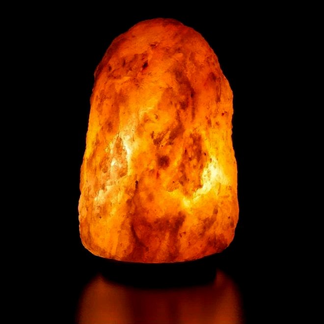 Are Himalayan Salt Lamps Safe Around Dogs