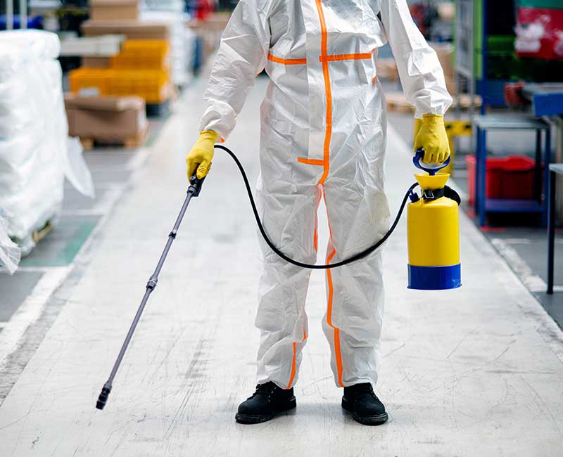 Experience a Cleaner and More Productive Warehouse with Professional