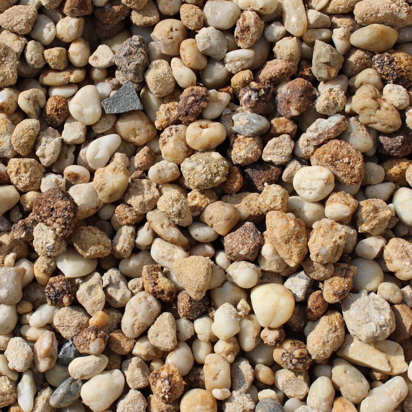 GOLDEN SILICA BULK | Select Stone : Select Stone
