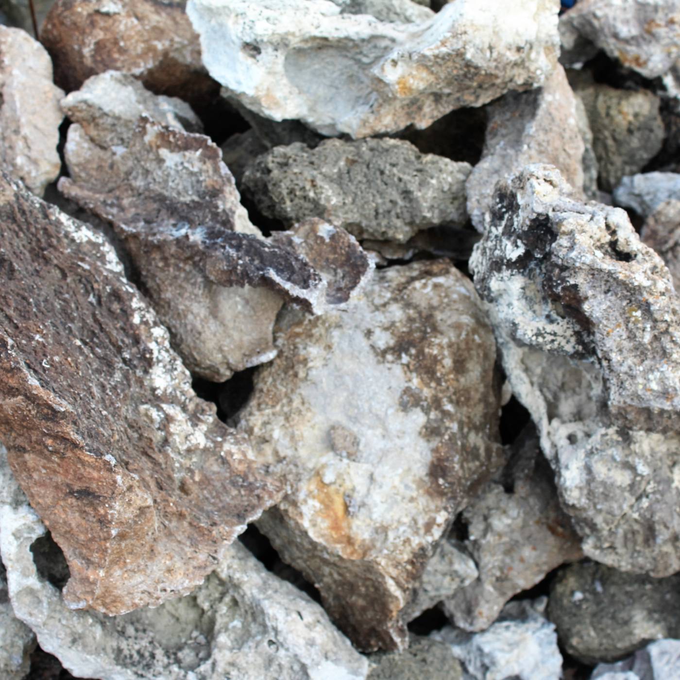 LACE ROCK BOULDER Select Stone