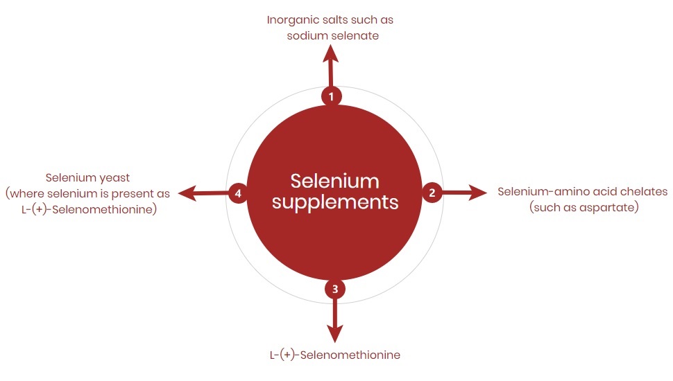 Selenium supplements Relative bioavailability Selenium SeLECT®