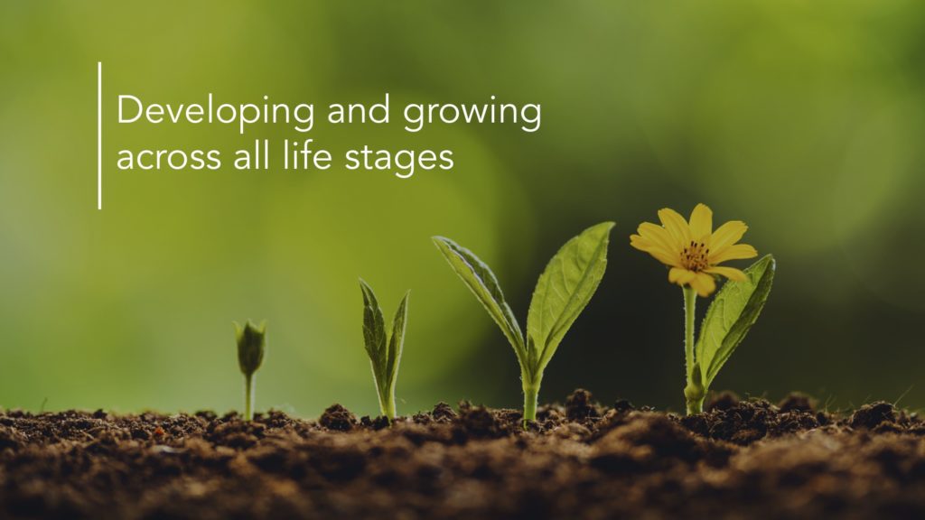 Development