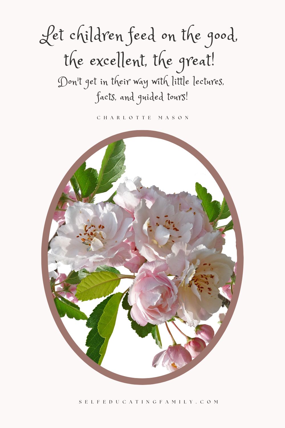 Charlotte Mason Quotes for Education Self Educating Family