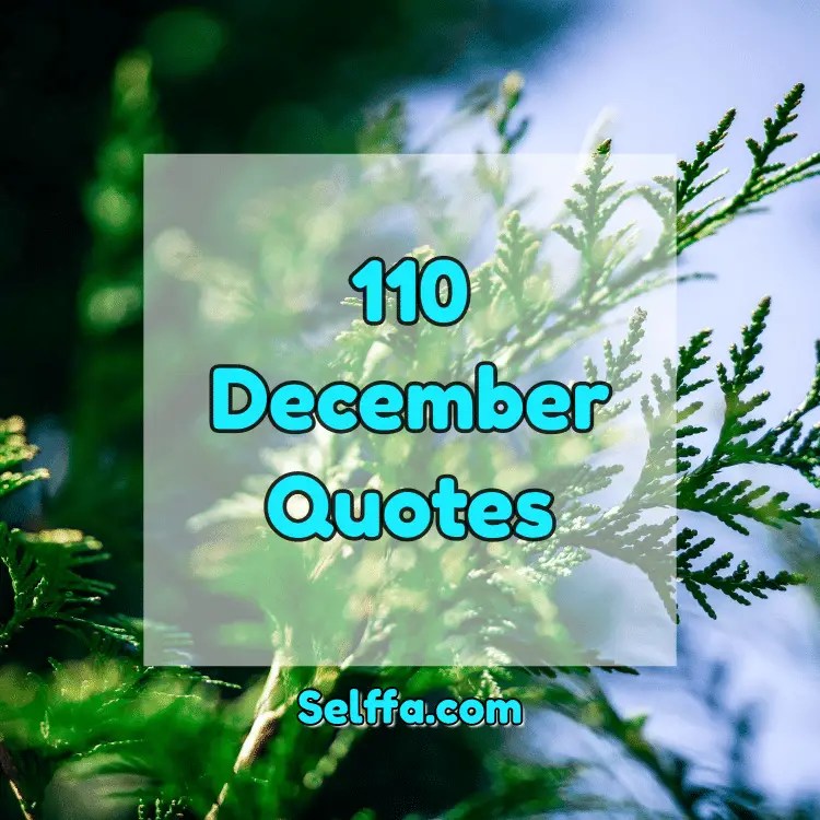 110 December Quotes and Sayings SELFFA
