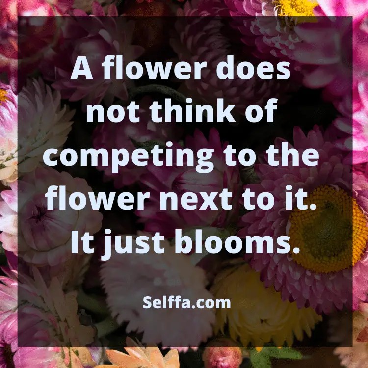 155 Feel Good Quotes and Sayings SELFFA