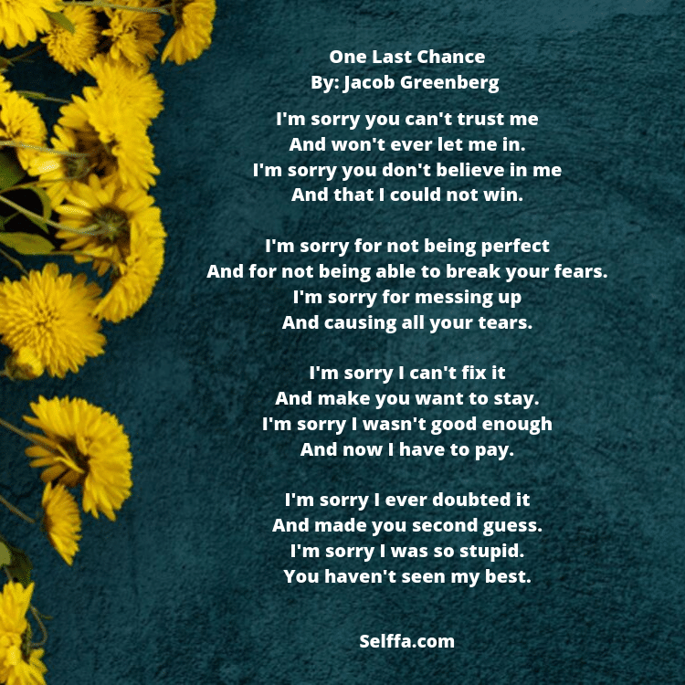 28 I'm Sorry Poems SELFFA