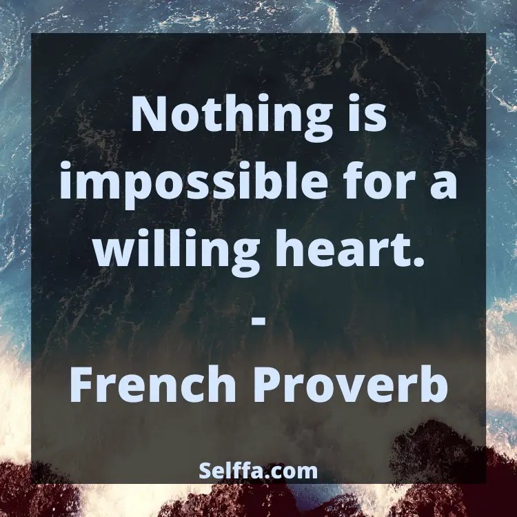 330 Inspirational Proverbs SELFFA