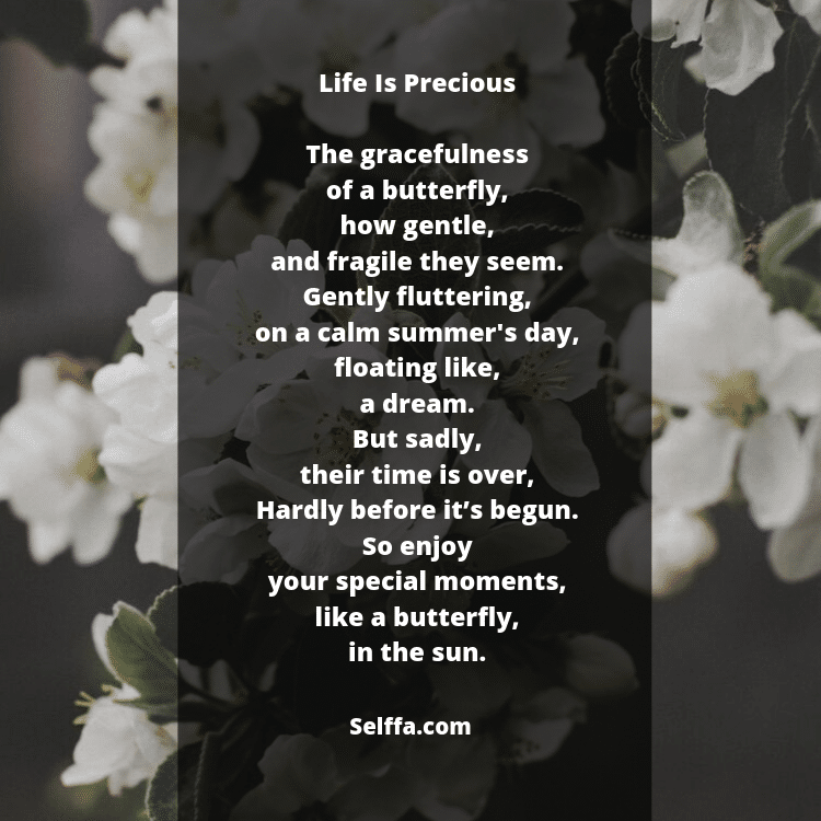 26 Poems About Struggles SELFFA