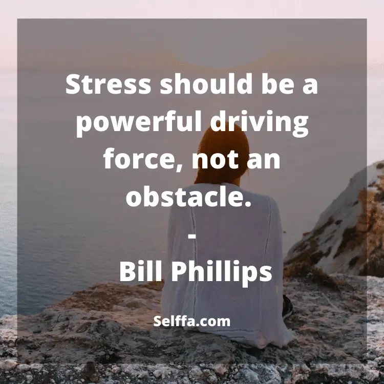 152 Stress Quotes SELFFA