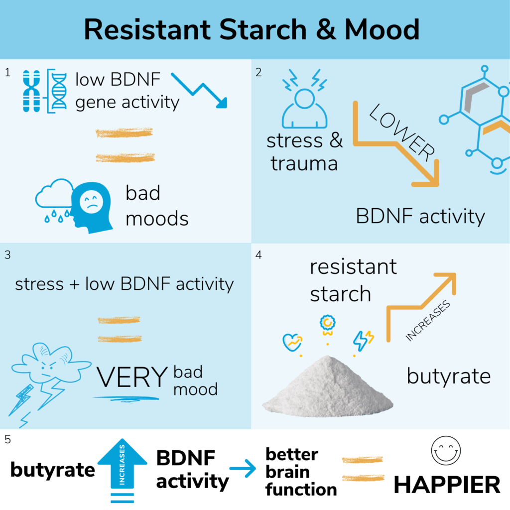 Resistant Starch, Butyrate & Mood SelfHack