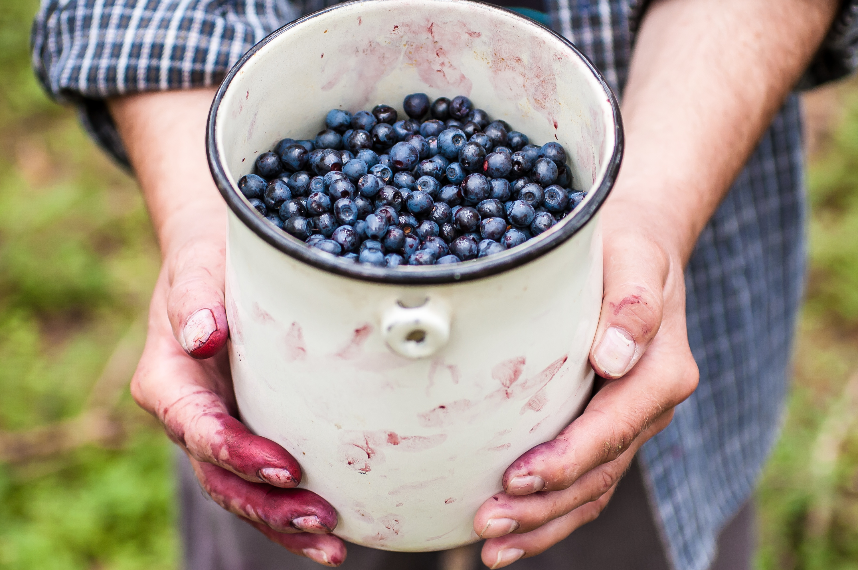 7 Bilberry Benefits (incl. Eye Health) + Side Effects & Dosage SelfHacked