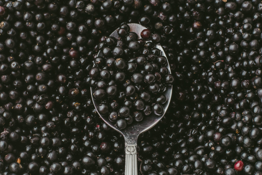 6 Elderberry Benefits (incl. Colds & Flu) + Side Effects SelfHacked