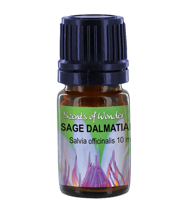 Sage leaf Salvia officinalis Self Heal Distributing
