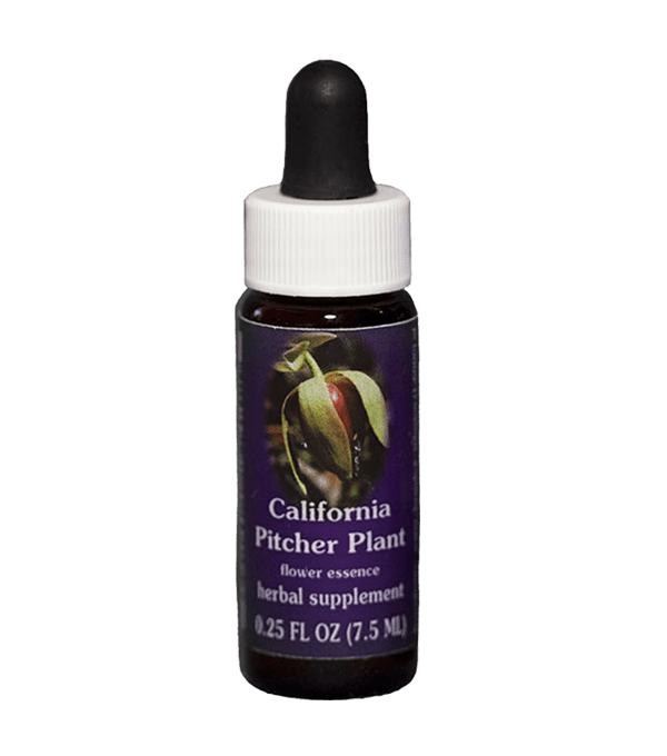 California Pitcher Plant, F.E.S. Californian, Flower Essence Self