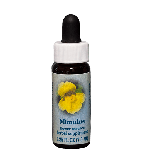 Mimulus, Flower Essence, Healing Herbs, English Self Heal Distributing
