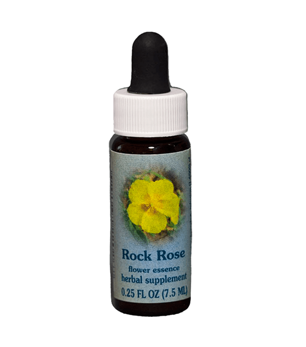 Rock Rose, Flower Essence, Healing Herbs, English Self Heal Distributing