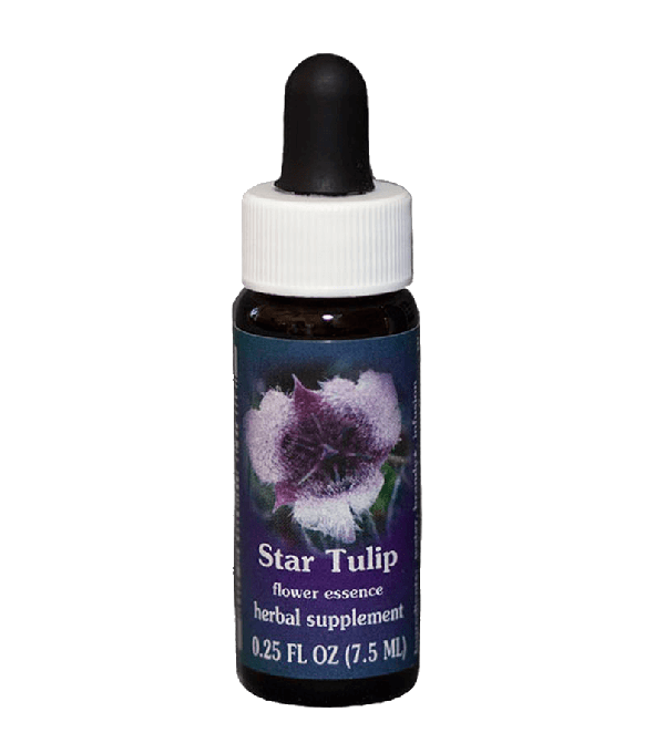 Star Tulip F.E.S. Californian, Flower Essence Self Heal Distributing