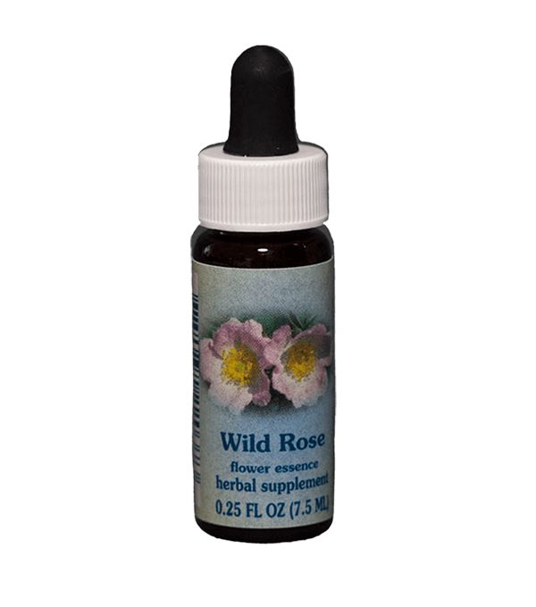 Wild Rose, Flower Essence, Healing Herbs Self Heal Distributing