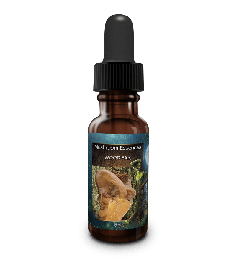 Wood Ear, Mushroom Essences Self Heal Distributing
