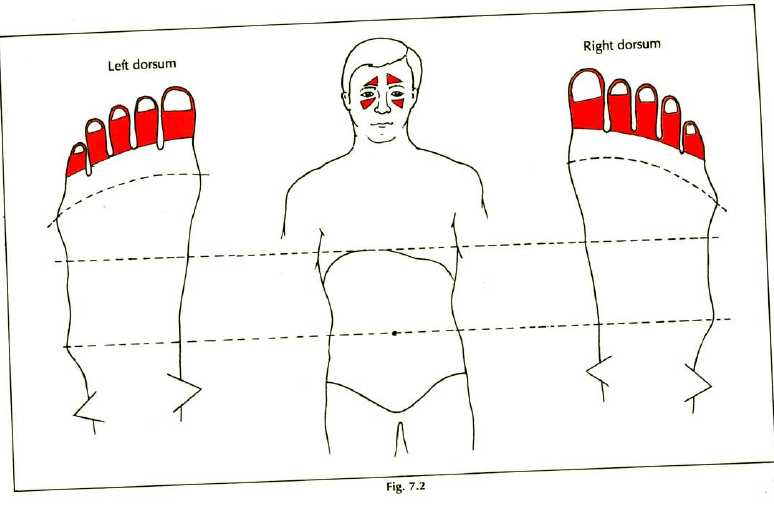 Foot Reflexology Sinusitis Learn Self Healing Techniques Online