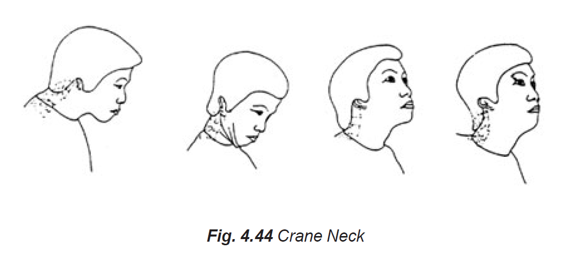 Neck Massage Learn Self Healing Techniques Online