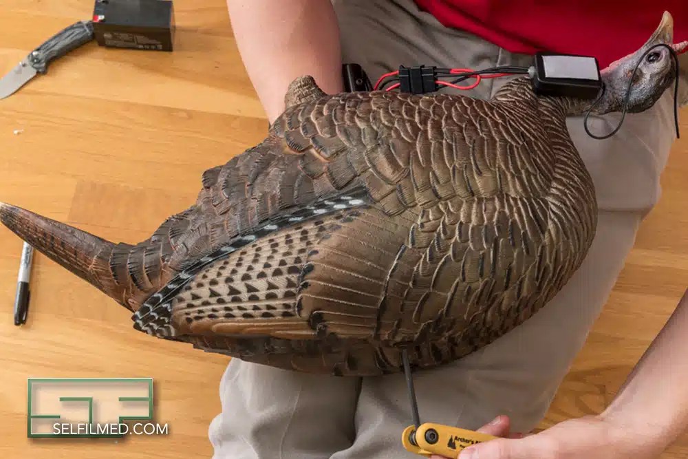 Adding Motion to a Wild Turkey Decoy using Motion Madness DIY Kit