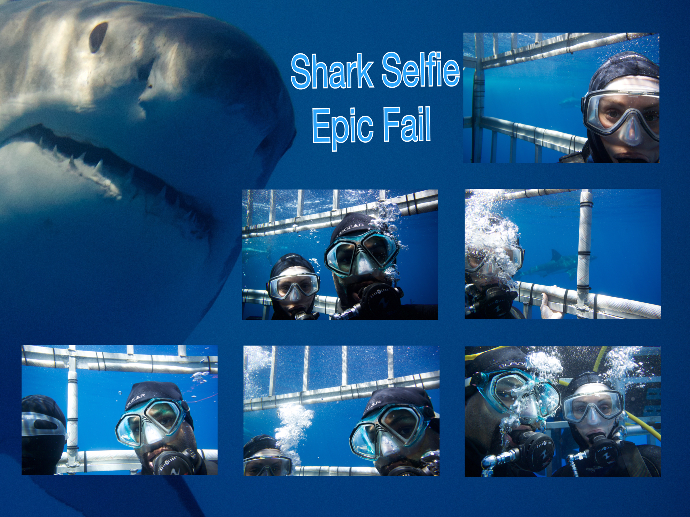Shark Epic Fail FAIL Blog Snake Page 5 Epic FAILs Funny Videos