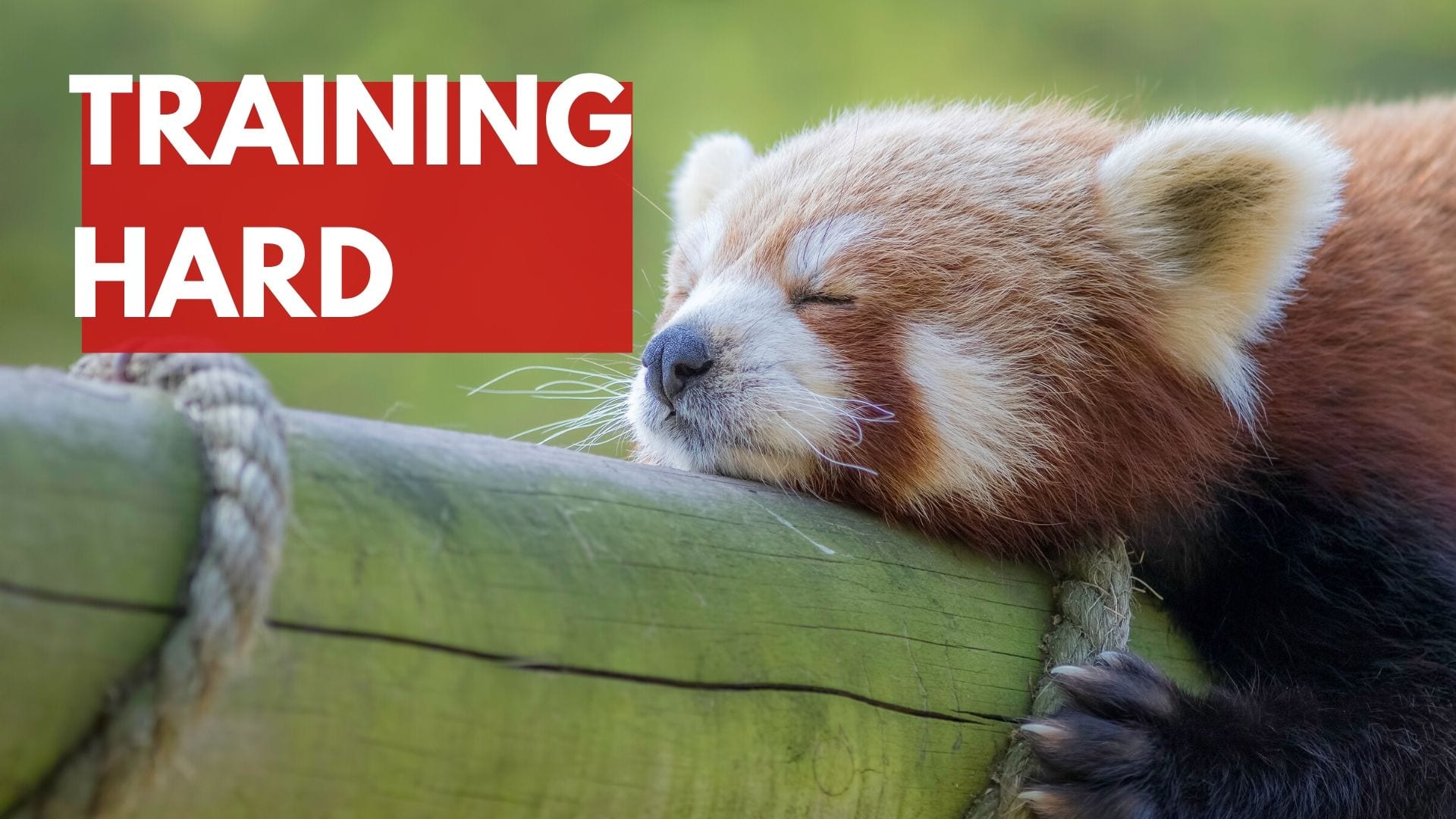 Training Hard Selfmastery