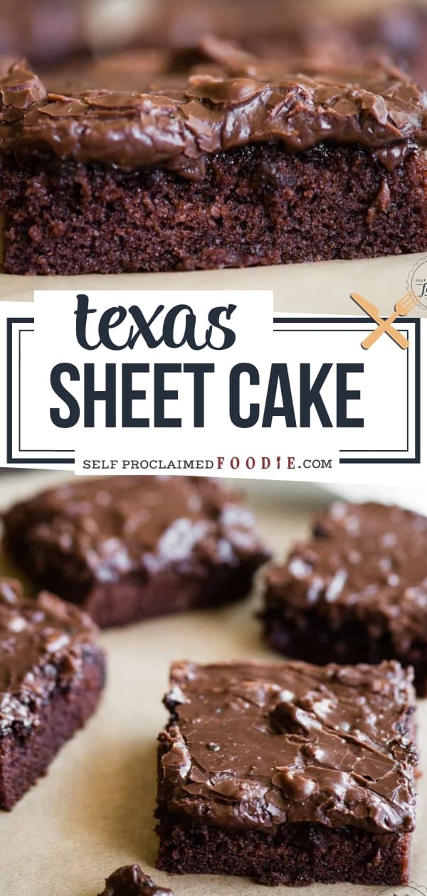 Chocolate Texas Sheet Cake {Recipe VIDEO} Self Proclaimed Foodie