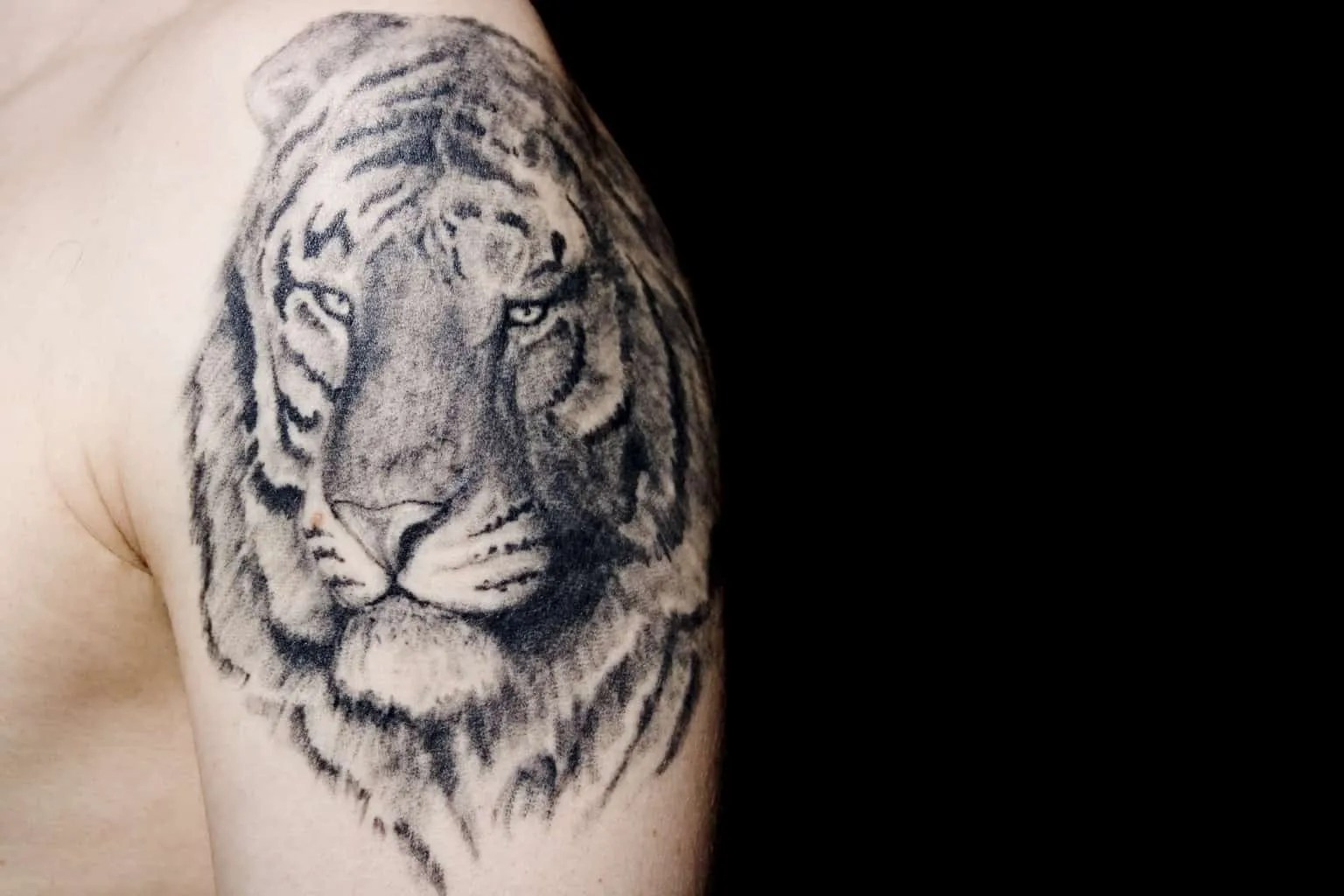 Should You Have A Big Cat Tattoo – Self Tattoo 1024_x_1536_jpg