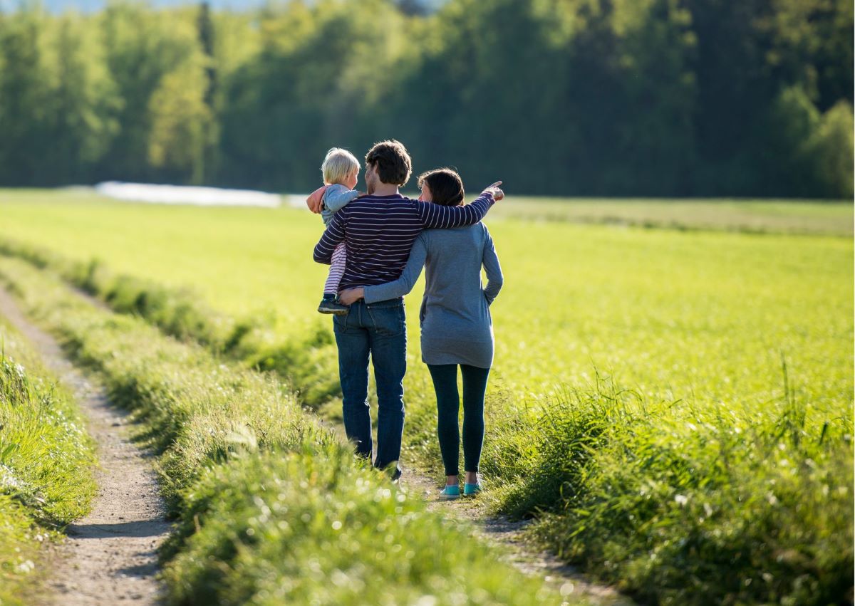 Country Properties For Sale Niagara Portfolio Realty Group