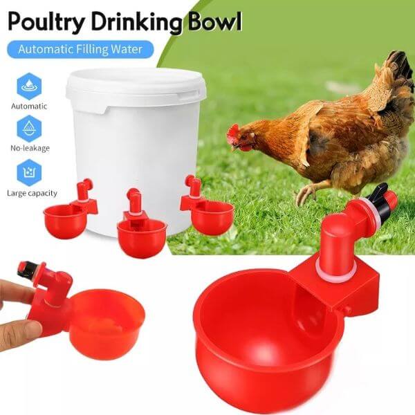 AUTOMATIC CHICKEN WATERER Sell This Now