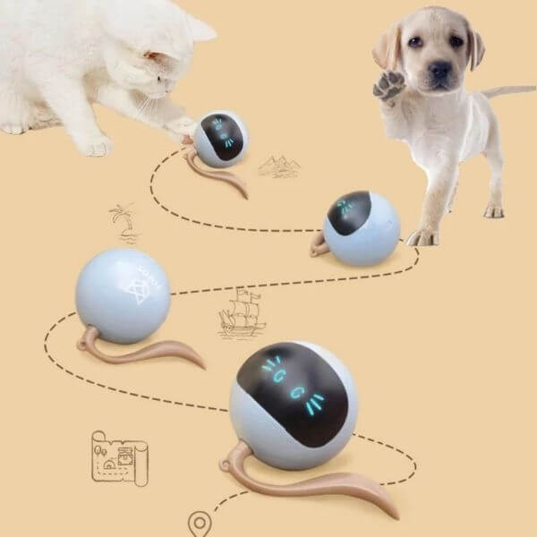 INTERACTIVE PET BALL TOY Sell This Now