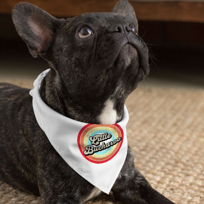 How To Sell Dog Clothes Kickstart Your Online Dog Clothing Store