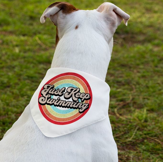 How To Sell Dog Clothes Kickstart Your Online Dog Clothing Store